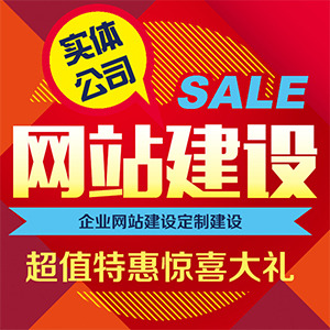 公司承接各类型网站建设开发一条龙网站建设营销方案