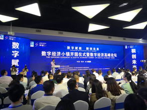 承接世界互联网大会乌镇峰会溢出效应,桐乡数字经济小镇开园
