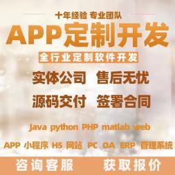 技术团队承接各类软件开发、网站建设、小程序开发